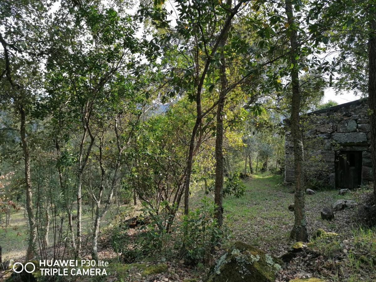 Casa Douro Terrace Villa Baiao Exterior photo