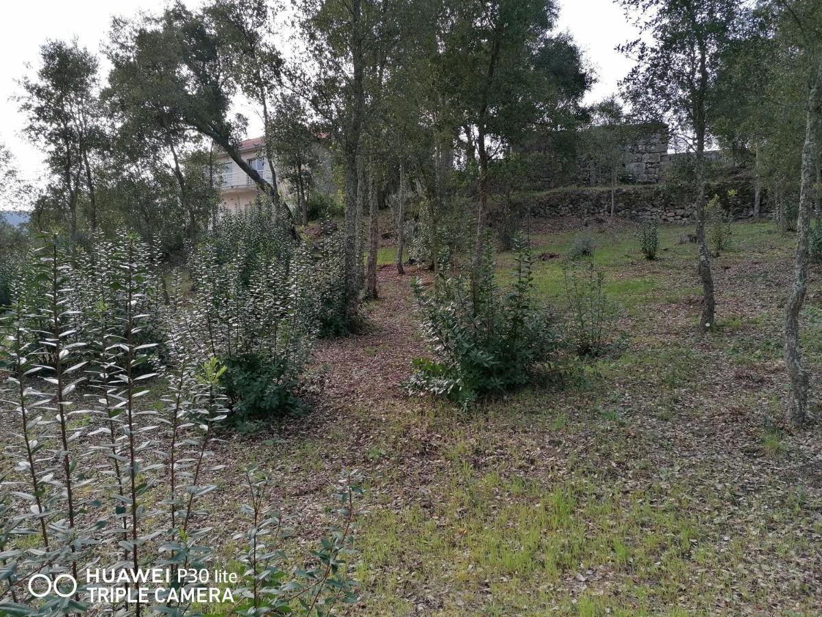 Casa Douro Terrace Villa Baiao Exterior photo